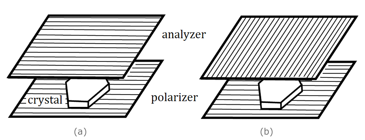 [Shigeru Figure 3]