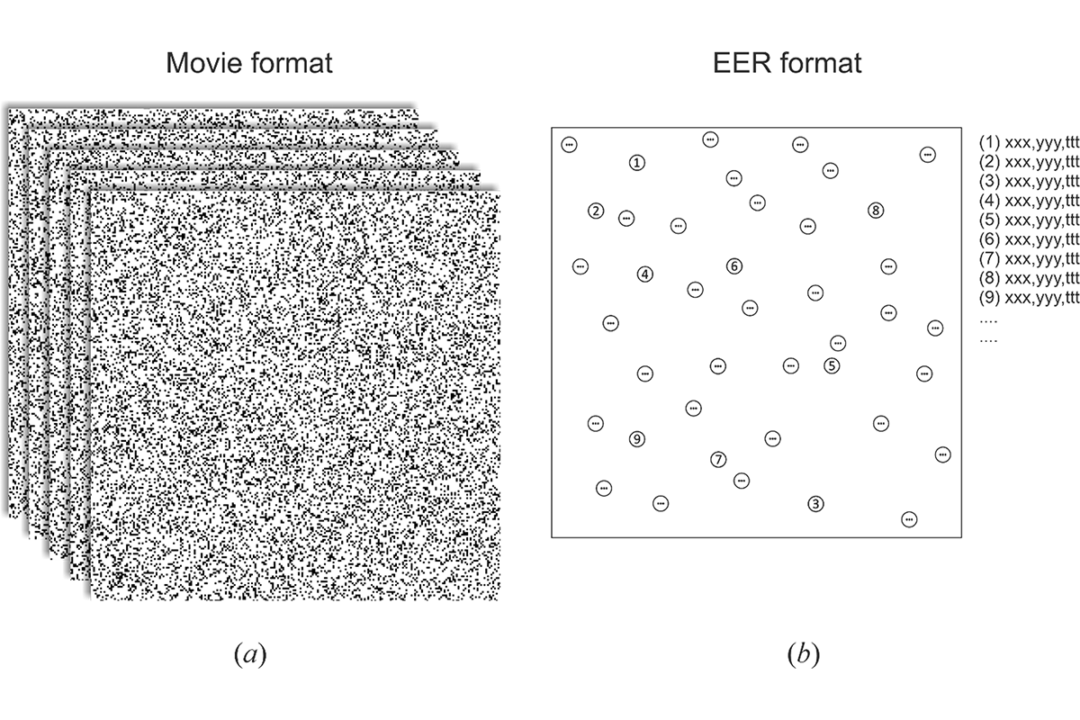 [Fig. 1]