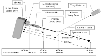 [Radiation dose]