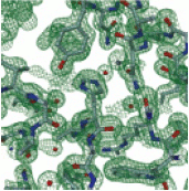 [O-methyltransferase]