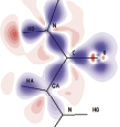 [Peptide bond plane]