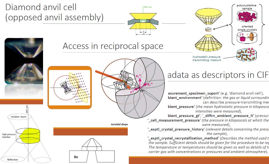 [extracts from presentation]