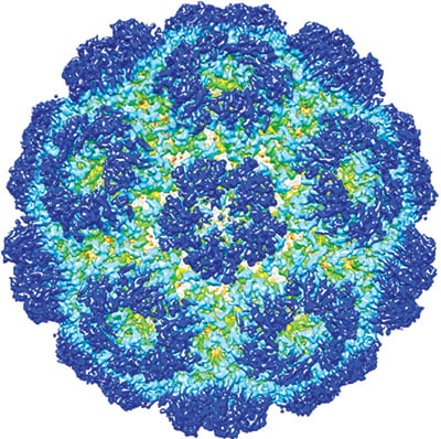 [Brome mosaic virus structure]
