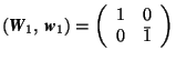$(\mbox{\textit{\textbf{W}}}_1,\,\mbox{\textit{\textbf{w}}}_1)=\left( \begin{array}{rr} 1&0\\ 0&\bar{1} \end{array} \right)$