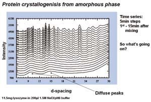 [Lysozyme crystallogenesis]