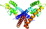 [Acta F structure]