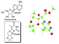 [Nucleoside scheme]