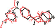 [Photoreaction]