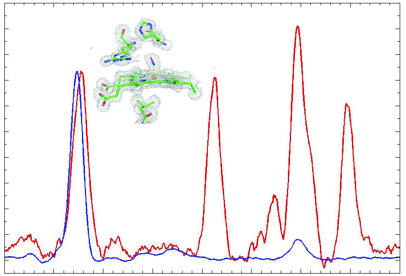 [resonance Raman spectra]