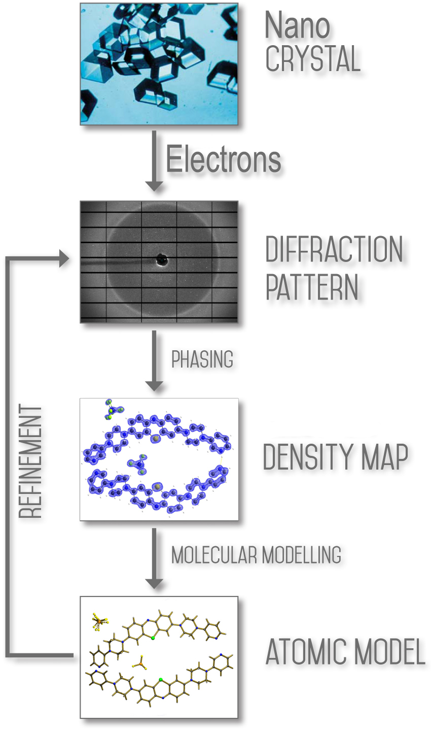 [Fig. 1]