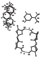 [molecular complex]