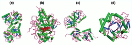 [Mammary gland proteins]