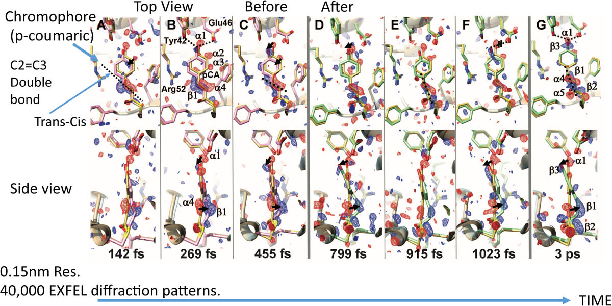 [Fig3]