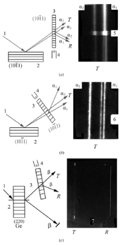 [Figure 1]