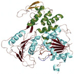 [Dengue ns3 structure]