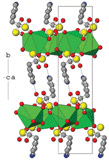 [Potassium risedronate]