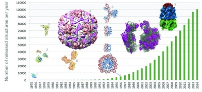 [PDB bar chart]