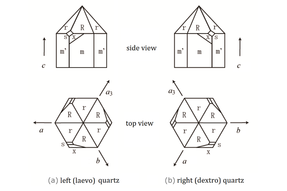 [Shigeru Figure 1]