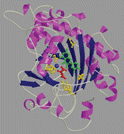 [Anthocyanidin synthase]