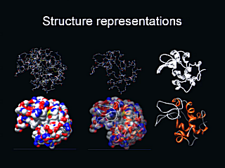 [Proteins and powders]