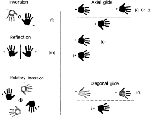 \begin{figure} \includegraphics {fig3.ps} \end{figure}