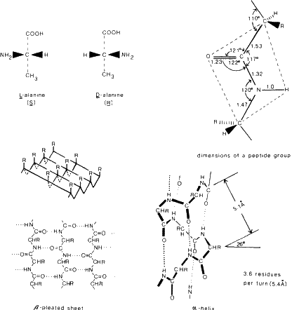 \begin{figure} \includegraphics {fig6.ps} \end{figure}