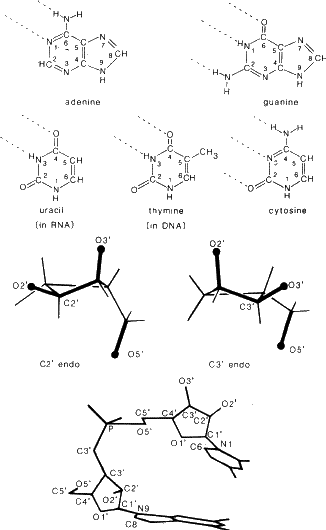 \begin{figure} \includegraphics {fig7.ps} \end{figure}