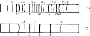 \begin{figure} \includegraphics {fig10.ps} \end{figure}