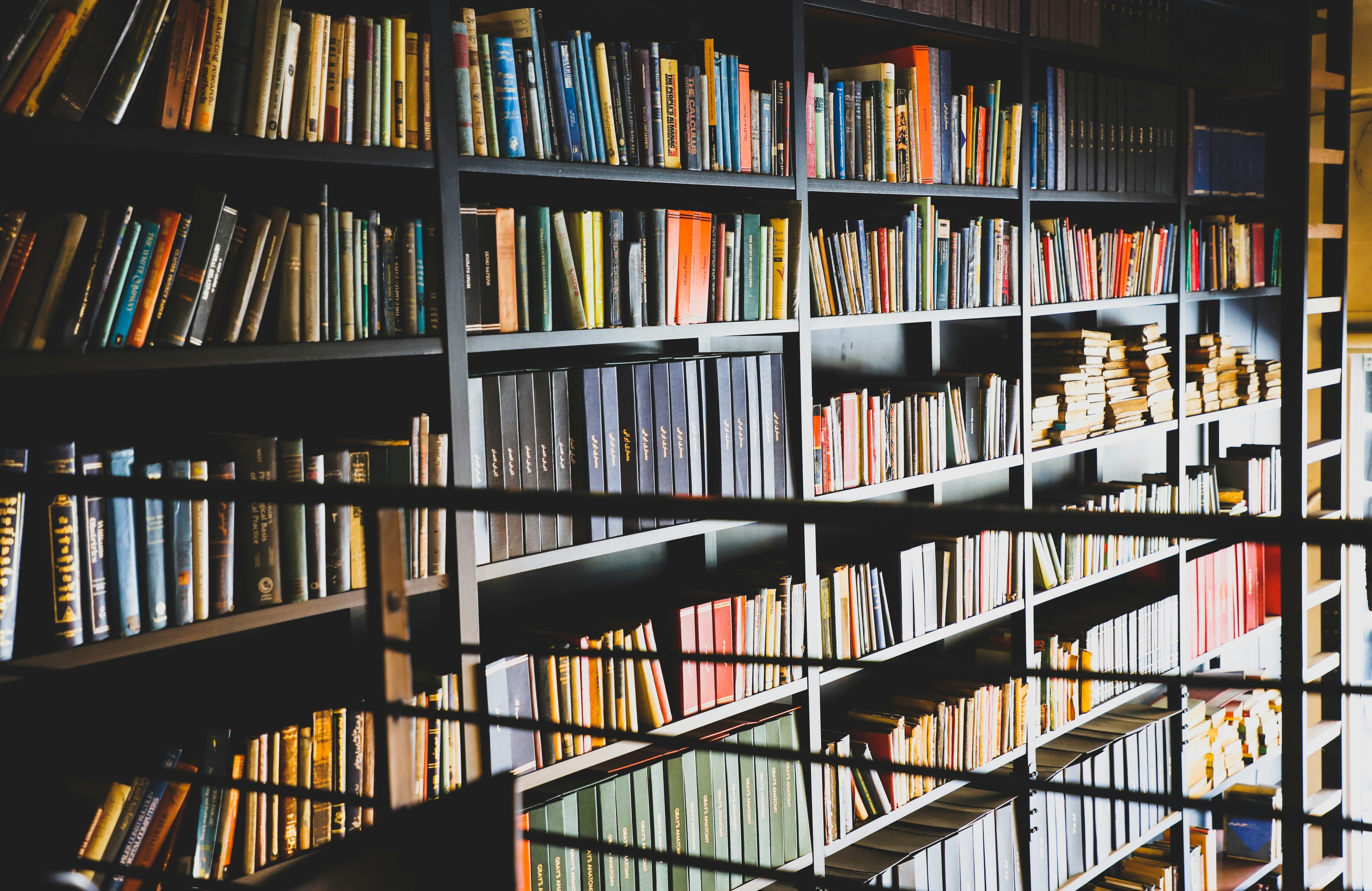 Library with shelves of books