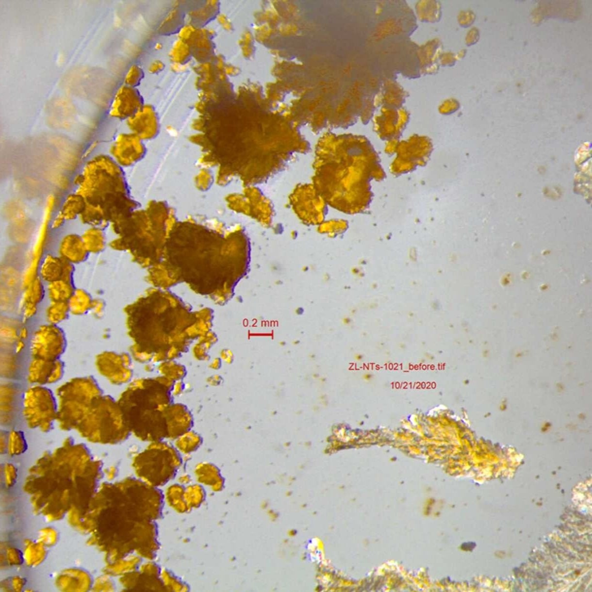 crystal growth