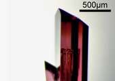 event id 92018 image ID 92021