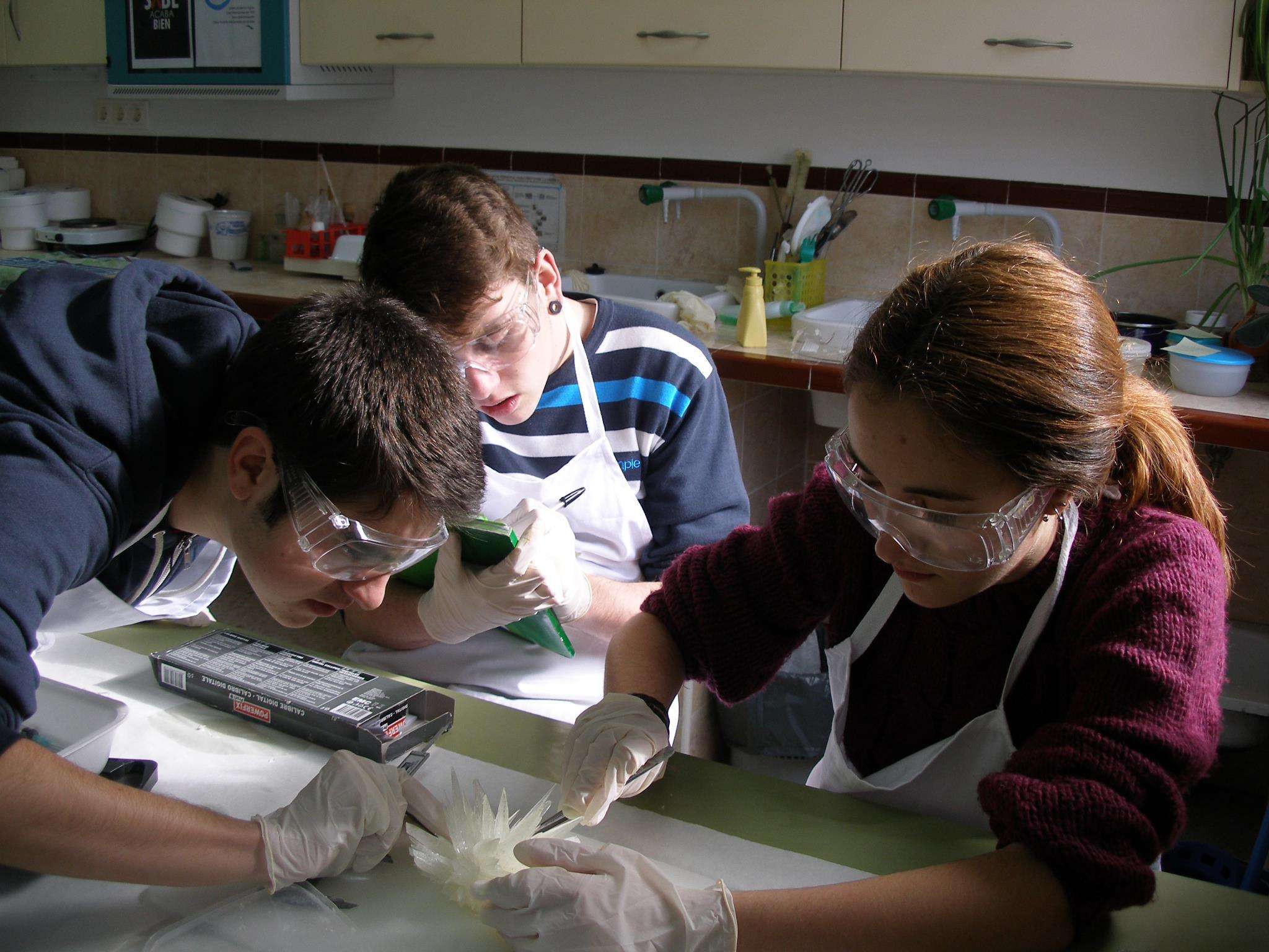 2013: Spanish Schools Crystallization Competition: Final event