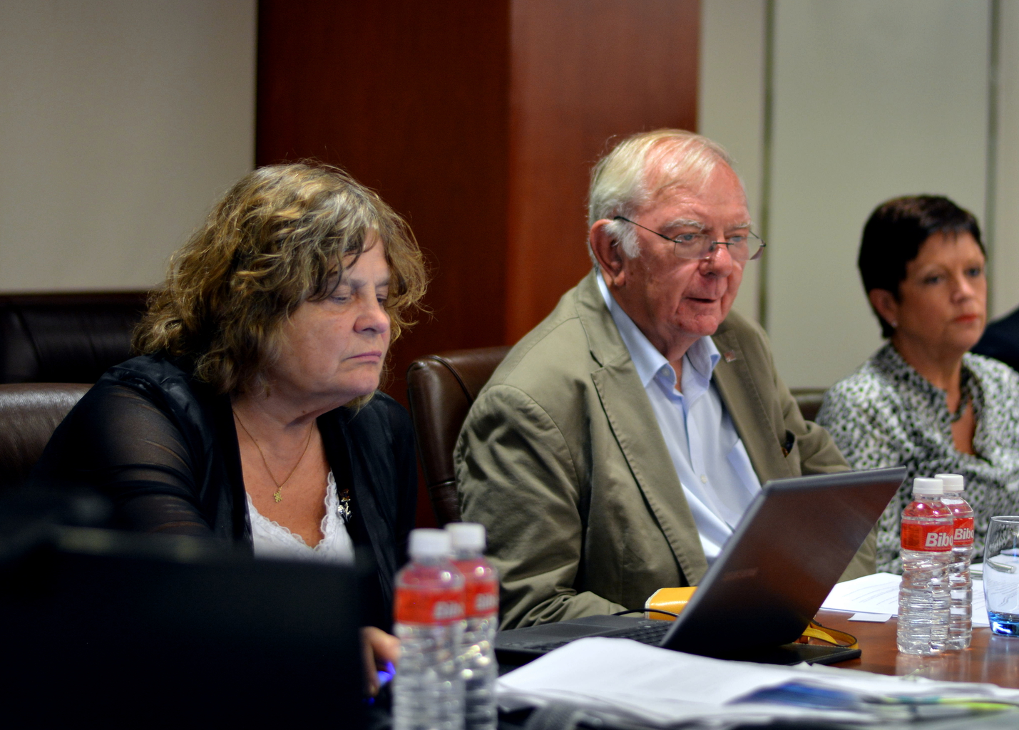 2017: IUCr Executive Committee meeting: Meeting