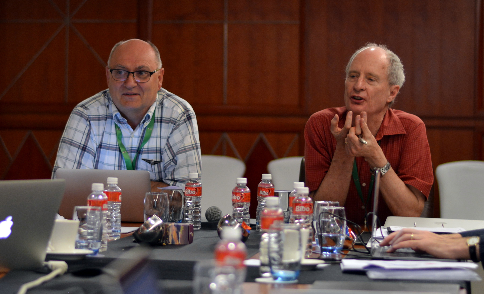 2017: IUCr Executive Committee meeting: Meeting