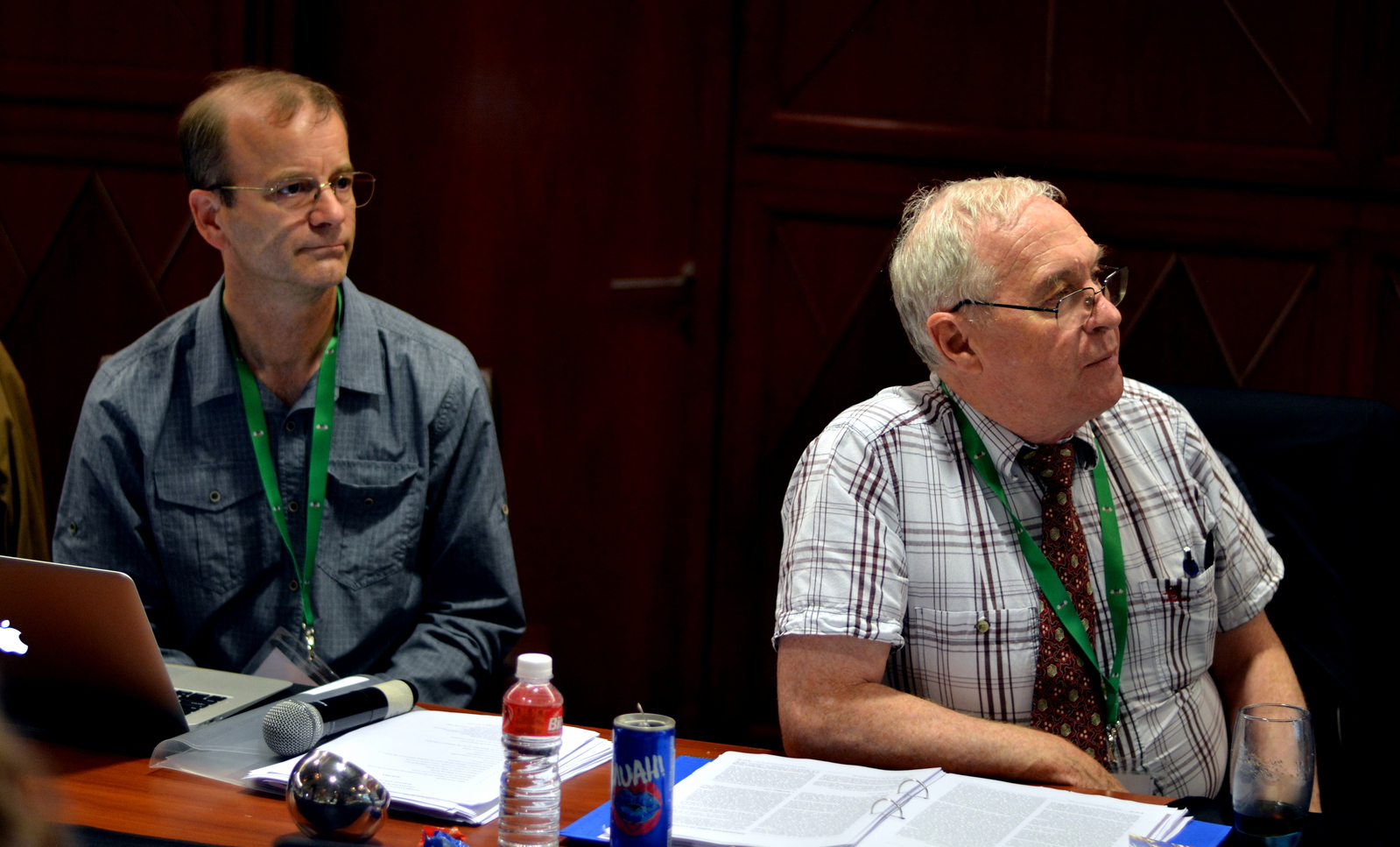 2017: IUCr Executive Committee meeting: Meeting