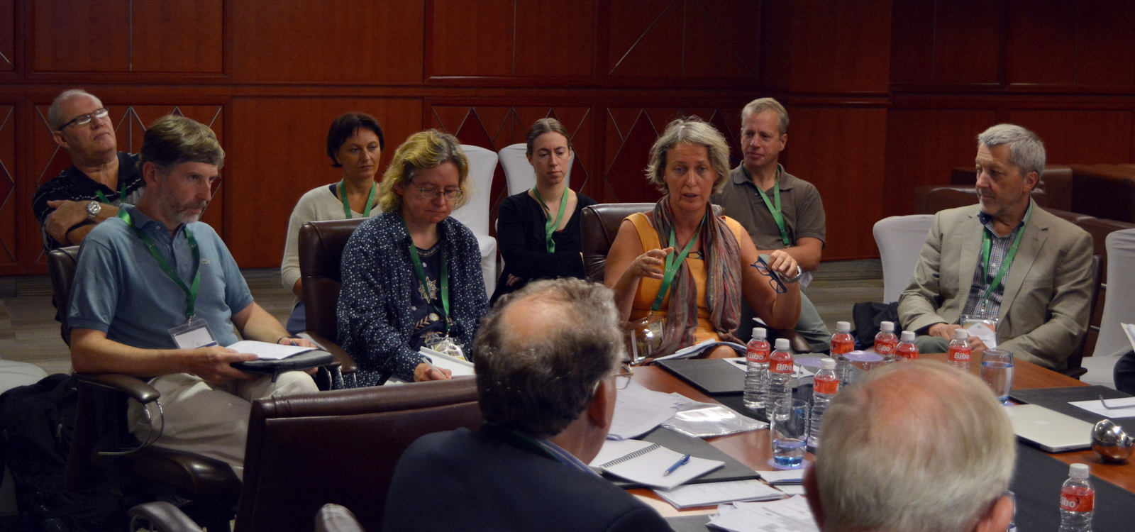 2017: IUCr Executive Committee meeting: Meeting