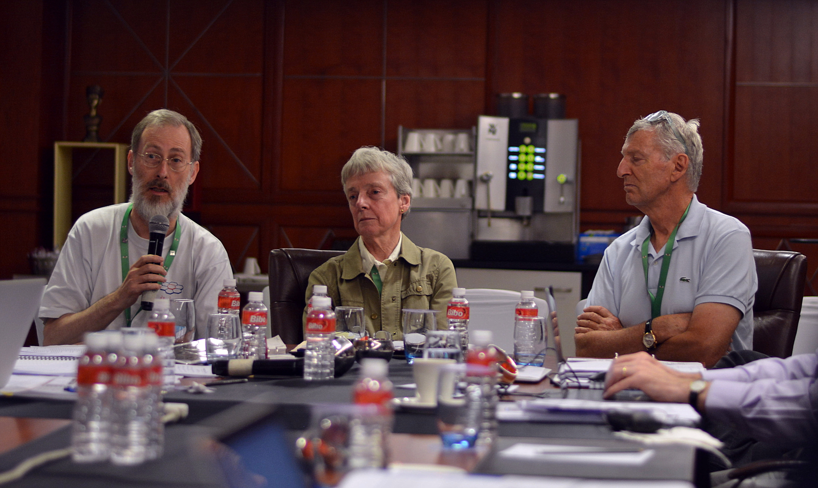 2017: IUCr Executive Committee meeting: Meeting