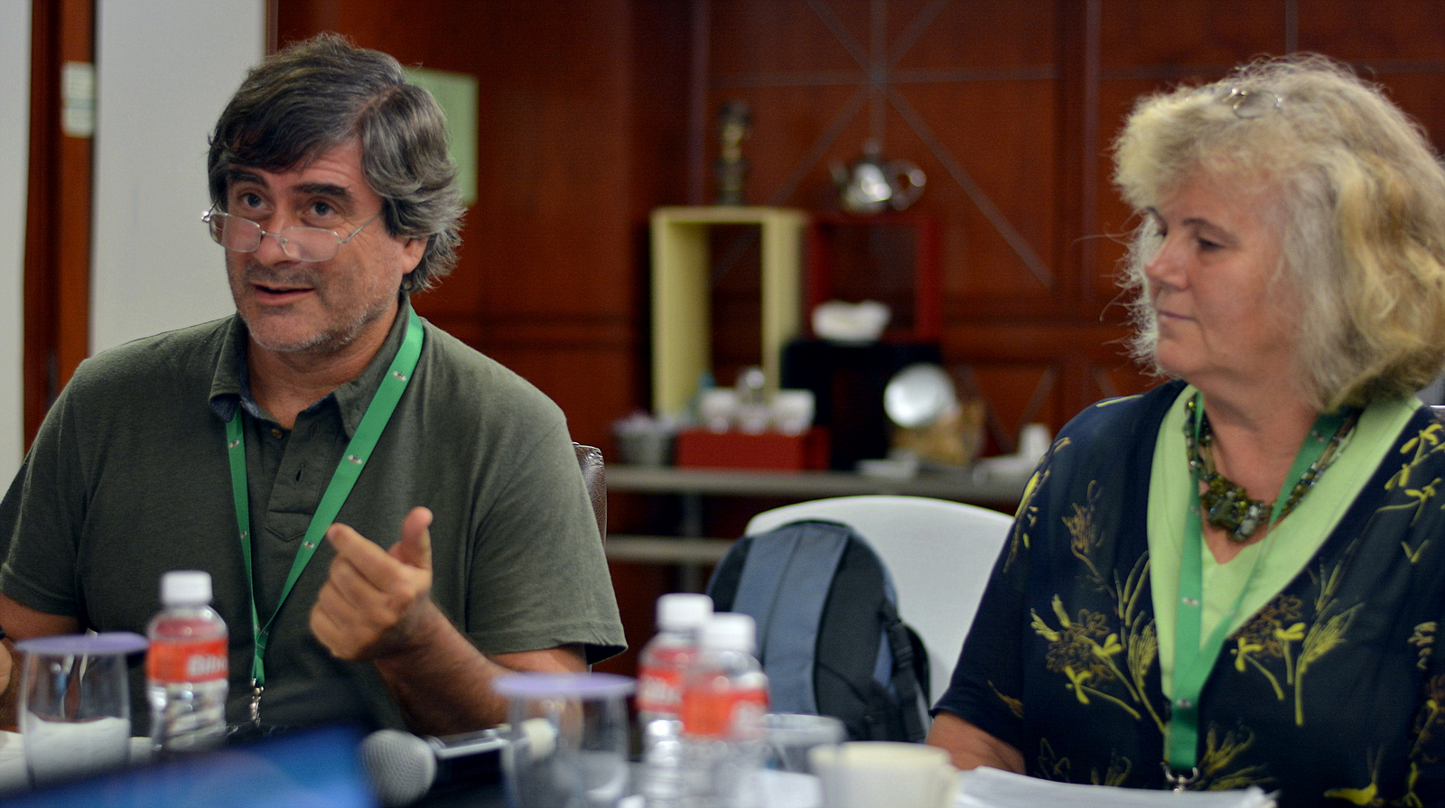 2017: IUCr Executive Committee meeting: Meeting