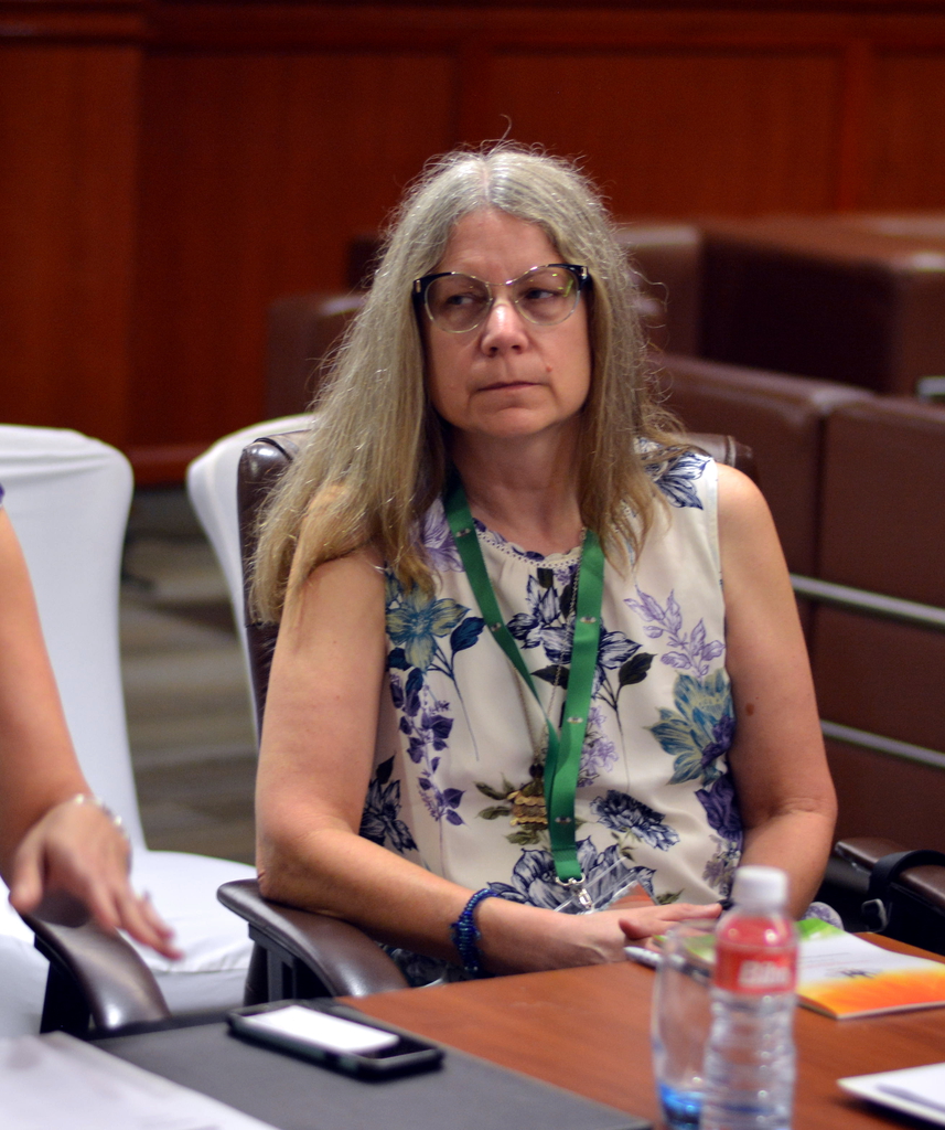 2017: IUCr Executive Committee meeting: Meeting