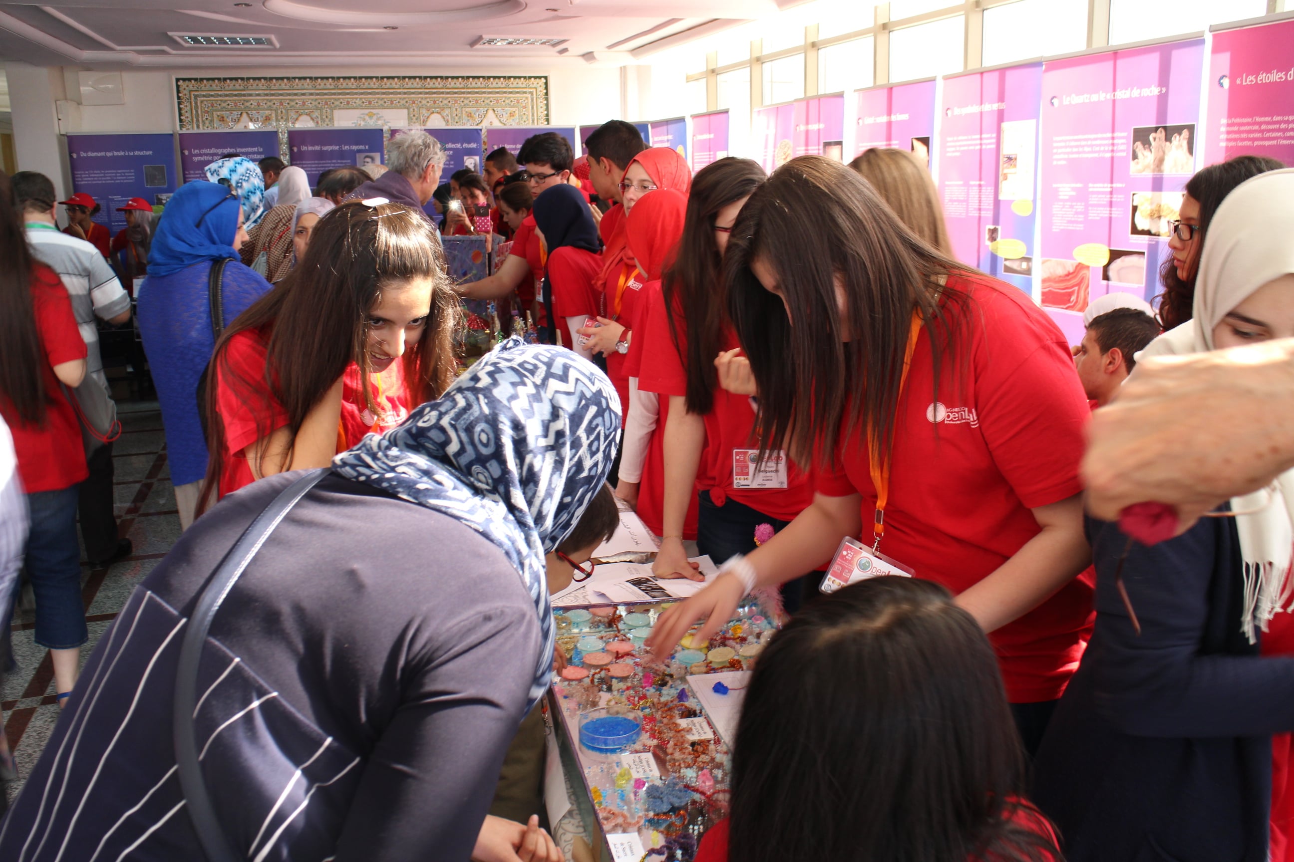 2015: IUCr-UNESCO Open Lab: Crystal growing competition