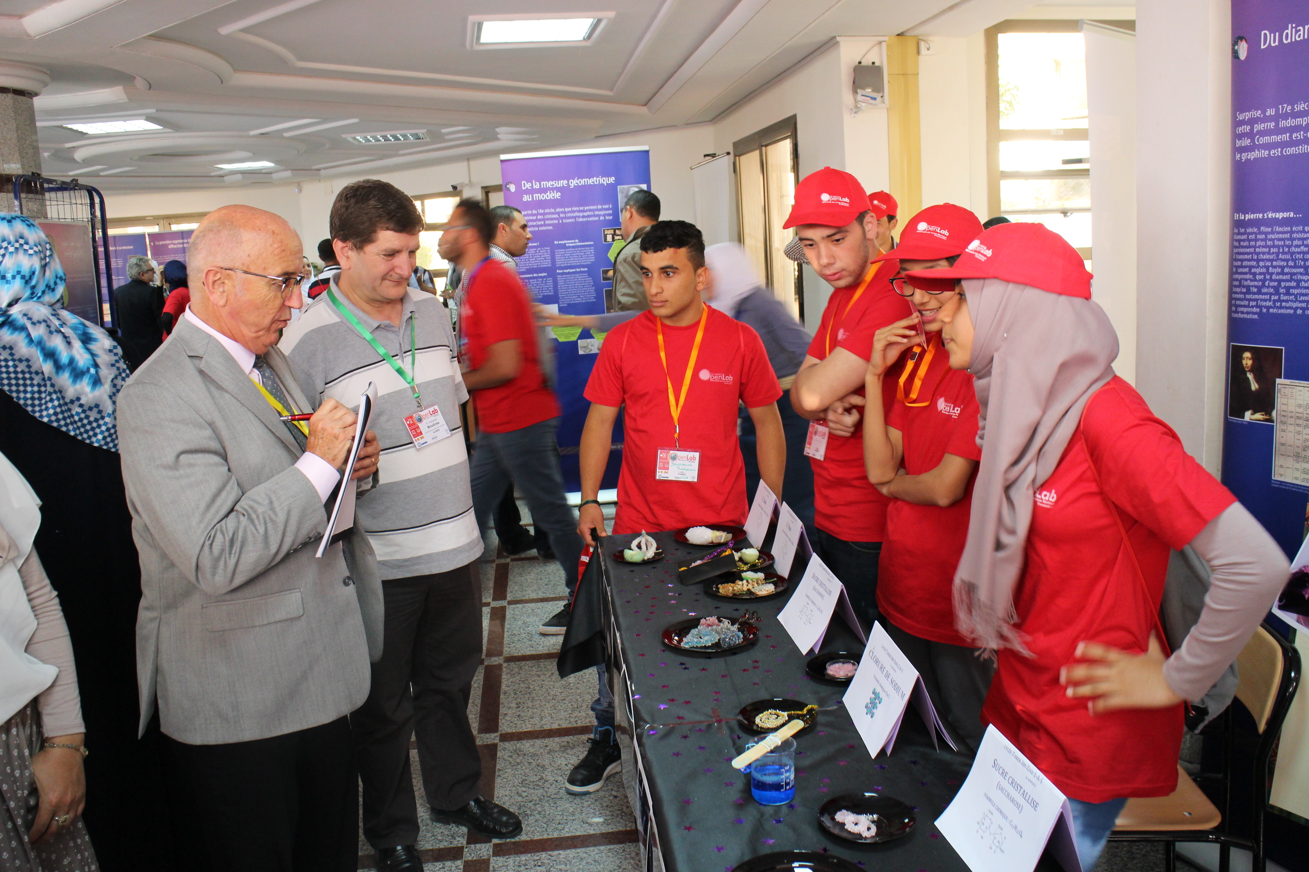 2015: IUCr-UNESCO Open Lab: Crystal growing competition