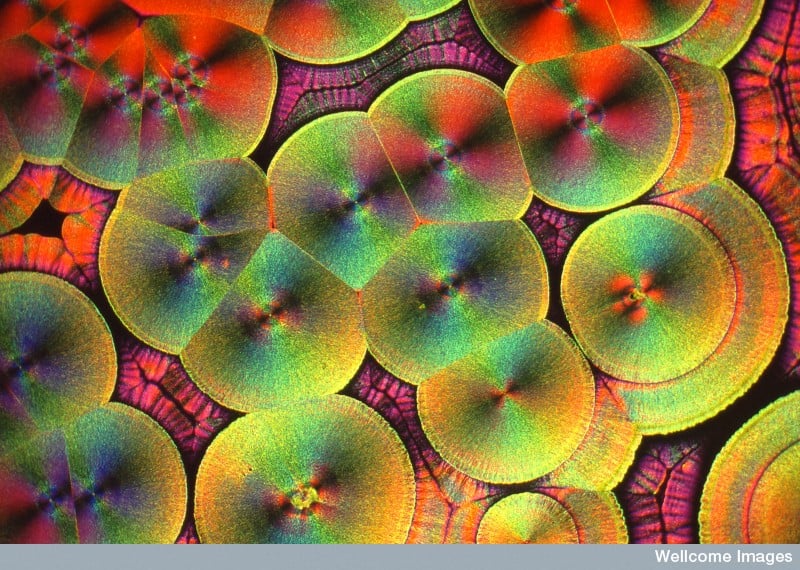 IUCr Newsletter (2008) Volume 16, Number 2 cover