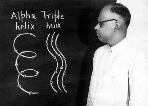 G.N. Ramachandran delivering a seminar in the 1960s.