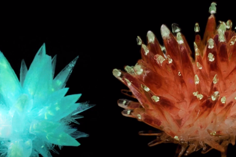 Pupils from IES Alfaguara in Loja, Spain, showed the effects of including phosphorescent substances when growing ammonium dihydrogen phosphate crystals