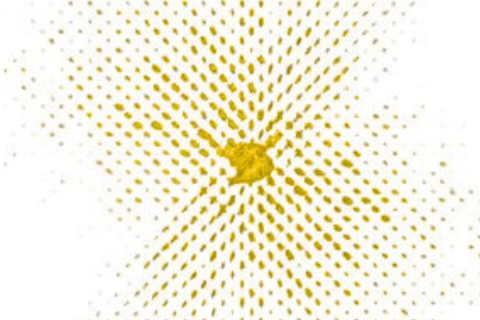From crystal to structure solution. The application of 3D-ED to epidote has enabled remarkable accuracy to be achieved for certain atomic positions (0.004 Å). Images of the epidote crystal and structure model reproduced from Gemmi et al.