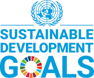 SDG text