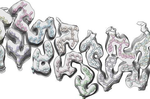 cryo-EM map