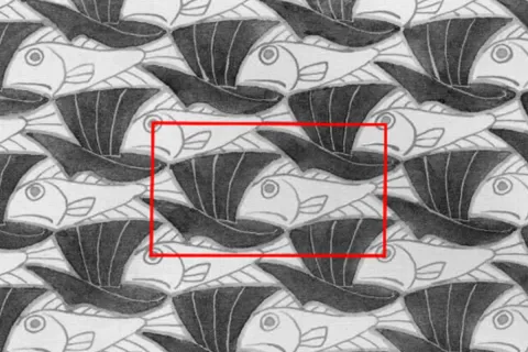 Symmetrical Fish Pattern