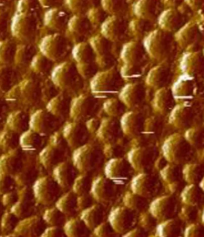 phase contrast images
