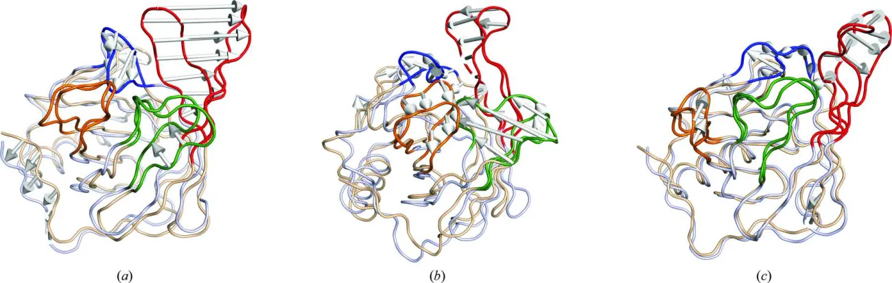 Porcupine plots showing relative motions of the four regions in the deglycosylated models of (a) native, (b) oleic acid-bound and (c) linoleic acid-bound Lili-Mip. Regions I, II, III and IV are coloured blue, red, green and orange, respectively.